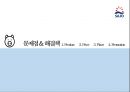 사조 안심햄 마케팅전략 13페이지