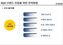 에스콰이어 4대 핸드백 브랜드 진입을 위한 중장기 전략 14페이지