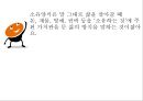 교육학과 교양학회소유냐 존재냐역사란 무엇인가과학혁명의 구조 7페이지