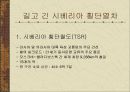 러시아 문화러시아 기후특성러시아 역사한국과 러시아러시아인의 생활탁아교육초등학교(쉬콜라)다차의 여가생활 31페이지