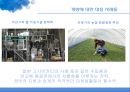 곡류 TSI 분석양국의 곡물 TSI 비교 수출입현황양국간의 농산물 교역미국 농업시장의 차후전망한국농업시장의 전망과 과제 21페이지