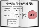 전략경영론 학습조직 방법론학습조직의 사례아지리스와 숀의 학습분류에버랜드 사례 15페이지