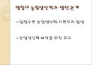 자본주의 맹아론맹아론의 타당성맹아론의 실존적 한계맹아론의 역사적 의의 4페이지