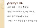 자본주의 맹아론맹아론의 타당성맹아론의 실존적 한계맹아론의 역사적 의의 10페이지