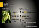 유럽의 술유럽의 술지도맥주특징와인 제조과정위스키특징리큐르특징선인장술특징 제조방법] 9페이지
