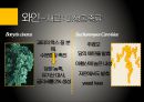 유럽의 술유럽의 술지도맥주특징와인 제조과정위스키특징리큐르특징선인장술특징 제조방법] 17페이지