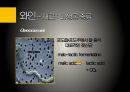 유럽의 술유럽의 술지도맥주특징와인 제조과정위스키특징리큐르특징선인장술특징 제조방법] 19페이지