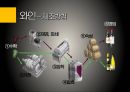 유럽의 술유럽의 술지도맥주특징와인 제조과정위스키특징리큐르특징선인장술특징 제조방법] 20페이지