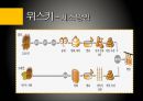 유럽의 술유럽의 술지도맥주특징와인 제조과정위스키특징리큐르특징선인장술특징 제조방법] 24페이지