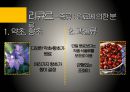 유럽의 술유럽의 술지도맥주특징와인 제조과정위스키특징리큐르특징선인장술특징 제조방법] 27페이지
