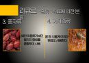 유럽의 술유럽의 술지도맥주특징와인 제조과정위스키특징리큐르특징선인장술특징 제조방법] 28페이지