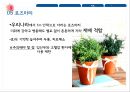 향기요법이란향기요법의 역사흡입법마사지요법증기요법목욕법스팀법 17페이지