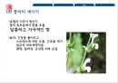 향기요법이란향기요법의 역사흡입법마사지요법증기요법목욕법스팀법 18페이지