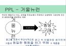 화장품 광고 마케팅브랜드 화장품 시장화장품시장브랜드마케팅서비스마케팅글로벌경영사례분석swotstp4p 13페이지
