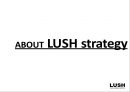 LUSH 14페이지