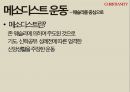 기독교의 태동과 분파루터 생애 사상칼빈과 장로교청교도 운동메소디스트 운동미국의 성결운동오순절운동 11페이지