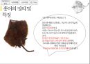 홍어의 정의홍어 특징과종류헝어 국내시장 유통현황홍어의 정의 및 특징홍어의 부위별 특징 4페이지