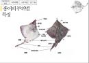홍어의 정의홍어 특징과종류헝어 국내시장 유통현황홍어의 정의 및 특징홍어의 부위별 특징 5페이지