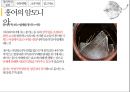 홍어의 정의홍어 특징과종류헝어 국내시장 유통현황홍어의 정의 및 특징홍어의 부위별 특징 10페이지
