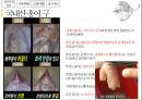 홍어의 정의홍어 특징과종류헝어 국내시장 유통현황홍어의 정의 및 특징홍어의 부위별 특징 19페이지