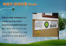 환경국가 독일환경교육 독일환경정책거시적인 환경정책Freiburg 에너지 자립태양광 발전원자력 에너지 11페이지