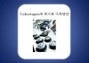 Volkswagen의 중국 합작투자 19페이지