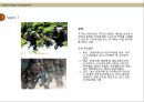 문구산업에서의 디자인 27페이지