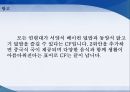 KFC 미국보다 중국에서 크게 성공한 이유분석 26페이지