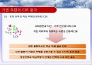 글로벌 CSR활동의 현황과 과제 25페이지