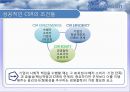 글로벌 CSR활동의 현황과 과제 40페이지