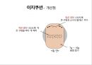 이지쿠션 이지파우더 전문 화장품브랜드 마케팅전략 9페이지