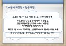 서울추모공원 건립을 둘러싼 지자체 갈등사례 16페이지