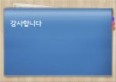 서울추모공원 건립을 둘러싼 지자체 갈등사례 22페이지