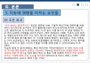 인간의 지능발달에미치는 환경적 요인 51페이지
