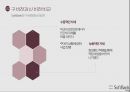 소프트뱅크의 경영전략 12페이지