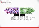 티저 마케팅 사례분석 6페이지