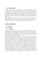스타일난다 마케팅 전략 분석 24페이지