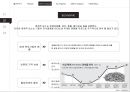 클라우드맥주 마케팅전략 - 롯데주류 Kloud 15페이지