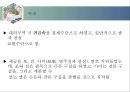 한국 화폐의 역사 13페이지