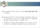 한국 화폐의 역사 14페이지