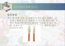 한국 화폐의 역사 25페이지