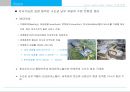 광교 Lake View Tower 상품계획서 13페이지