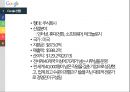구글 csr & 아프리카 룬 프로젝트 7페이지
