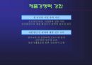 밀리오레 마케팅 커뮤니케이션 전략 17페이지