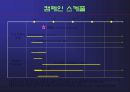 밀리오레 마케팅 커뮤니케이션 전략 38페이지