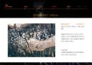 SK이노베이션 기업이미지 광고전략 18페이지