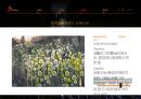 SK이노베이션 기업이미지 광고전략 22페이지