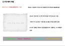 서울역 태평로 주상복합 사업계획서 ( 복합상업시설랜드마크) 15페이지