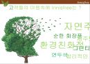 이니스프리 마케팅전략 Innisfree 13페이지