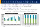 신흥국시장의 기회와 위협 5페이지
